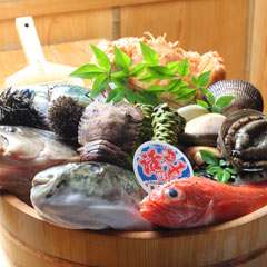 旬を感じる天然の魚がめじろ押し