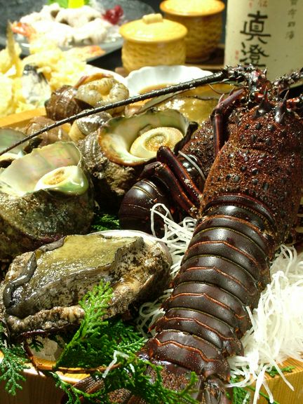 <海鮮しゃぶ・本くえ・すっぽん>創業来魚料理 遠州屋の人気!!