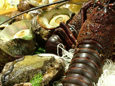 【海鮮しゃぶ・本くえ・すっぽん】創業来魚料理 遠州屋の人気！！