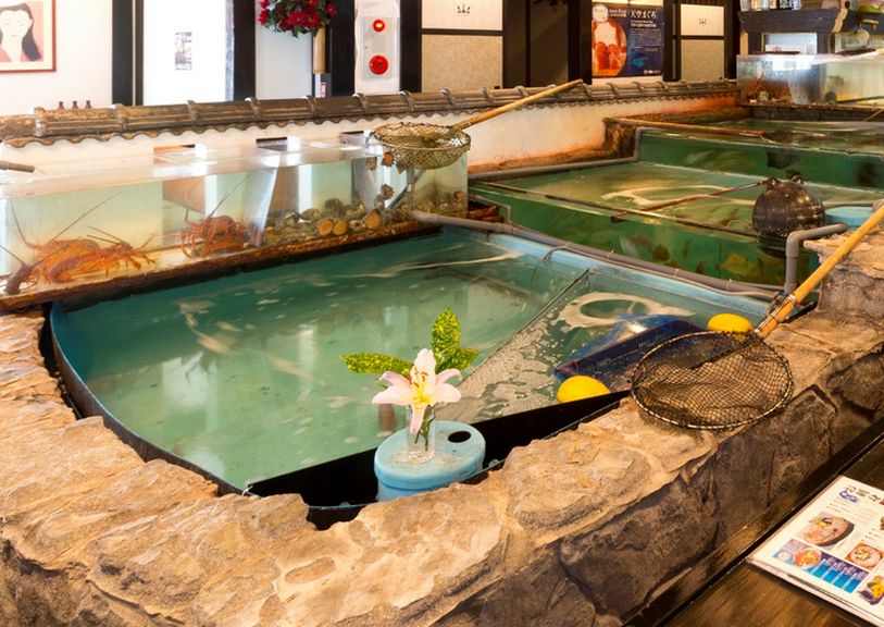 ぴちぴち新鮮な魚介類の旨みを満喫できます