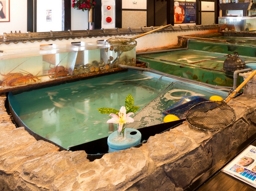 ぴちぴち新鮮な魚介類の旨みを満喫できます