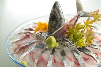 とびきり新鮮だからこそ味わえる美味『泳ぎサバ活造り』
