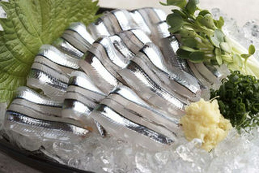 キビナゴのお刺身