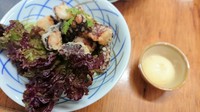 辛子マヨネーズでどうぞ。
