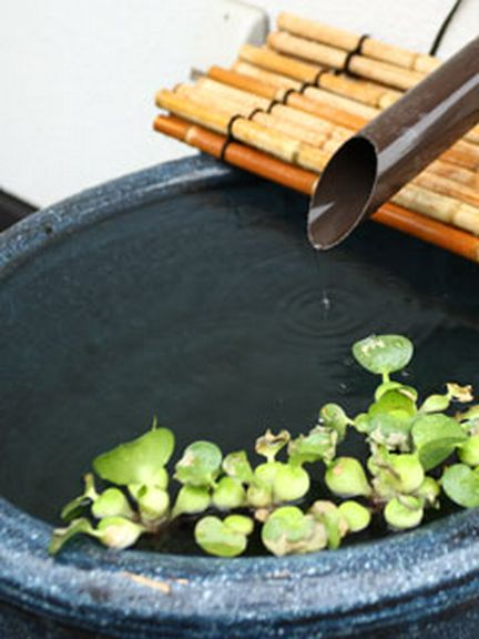 店内のいろいろなところでも自然を感じられる・・・