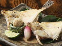 伊勢湾では主に9月から11月に水揚げされます