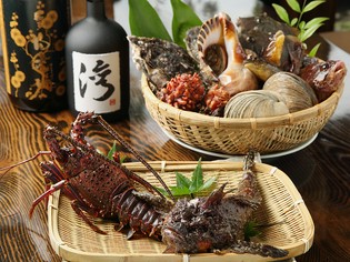 有機野菜や新鮮な地魚、名古屋コーチンの産みたて卵を使用