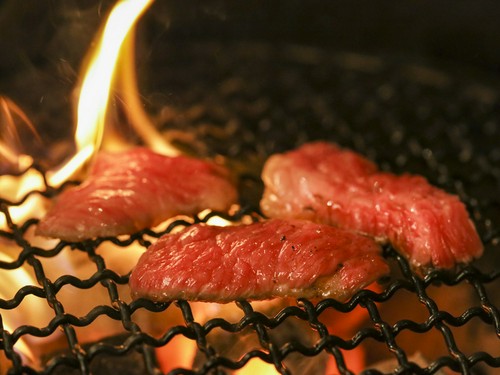 リーズナブルに上質なお肉を楽しめる