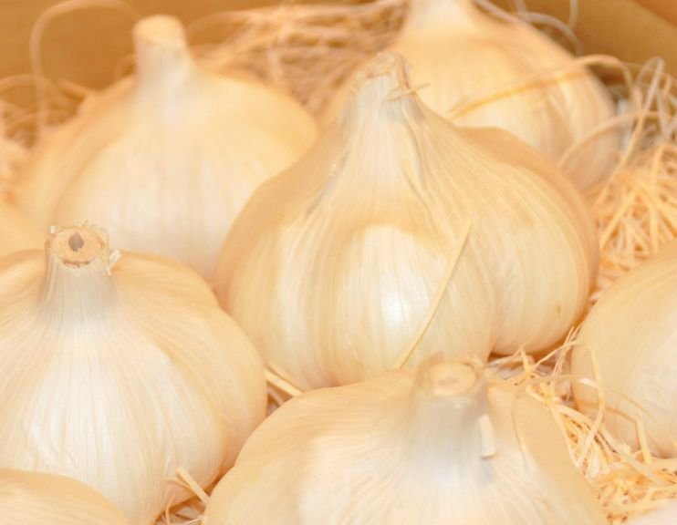 最高の旨味♪青森田子産大玉にんにくでスタミナアップ!
