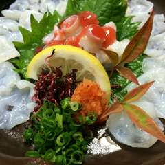 生タコ薄造り
