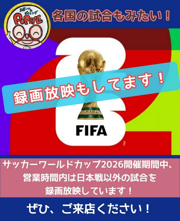 日本戦のシステム