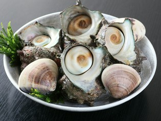 房総の貝類は鮮度も味も最高。どこにも負けない自慢の食材です。