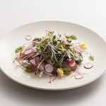 Carpaccio of the Day