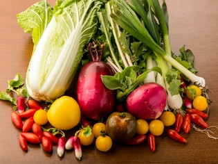 メニューの多くに、農家直送の色とりどりの「野菜」を使用