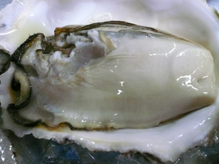 新鮮な旬のネタ