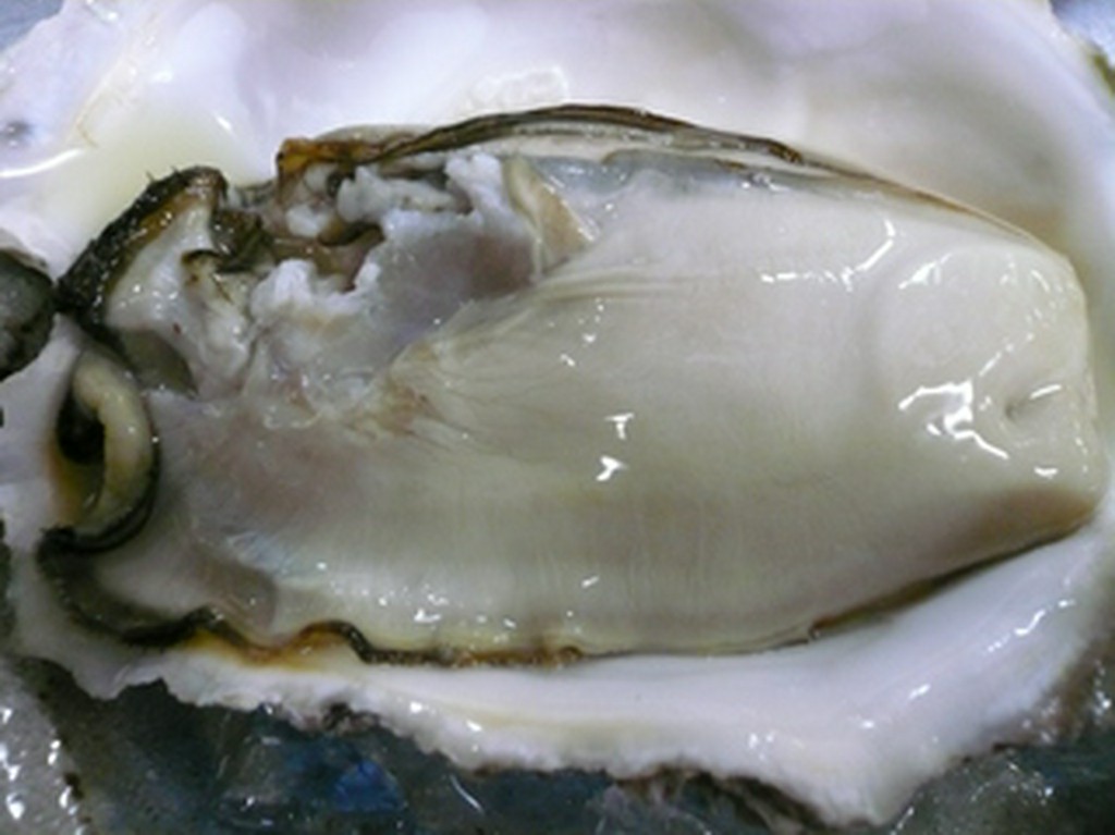 新鮮な旬のネタ