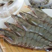 ブラックタイガーは、海水のみで養殖された上質で鮮度抜群な素材を使用。当店の海老はどれも大きさが均一で、身が痩せていたり小さかったりといったバラつきがありません。甘味があり、プリプリの食感を楽しめます。