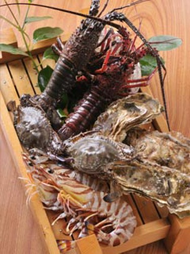 新鮮魚介をふんだんに使った、料理の数々をご堪能下さい！
