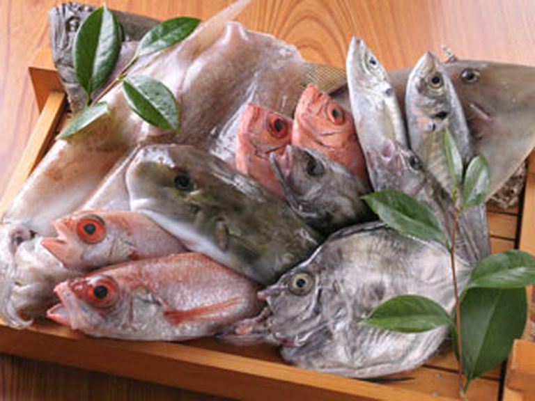 豊浜や片名から直送された、新鮮魚介の数々