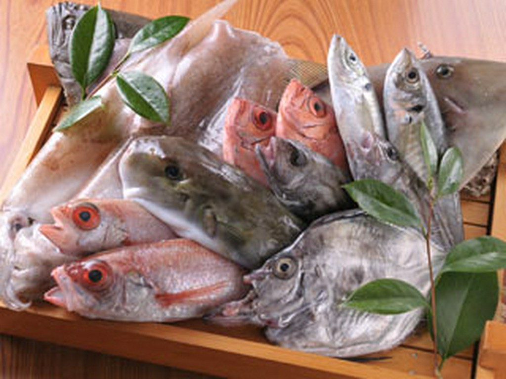 豊浜や片名から直送された、新鮮魚介の数々