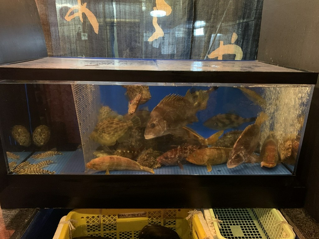 活きのいい素材が全て！大将の目利きが光る！