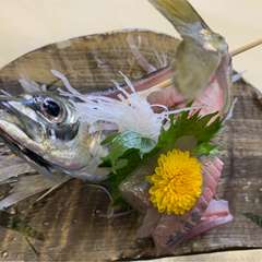 あじ活造り、タタキ