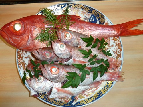 ランチタイムや会席料理でも、とれたての三河湾魚介を