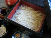 茹でたうどんを水で洗わず蕎麦湯に泳がせたまま提供します。天ぷら無しの釜揚げもできます。