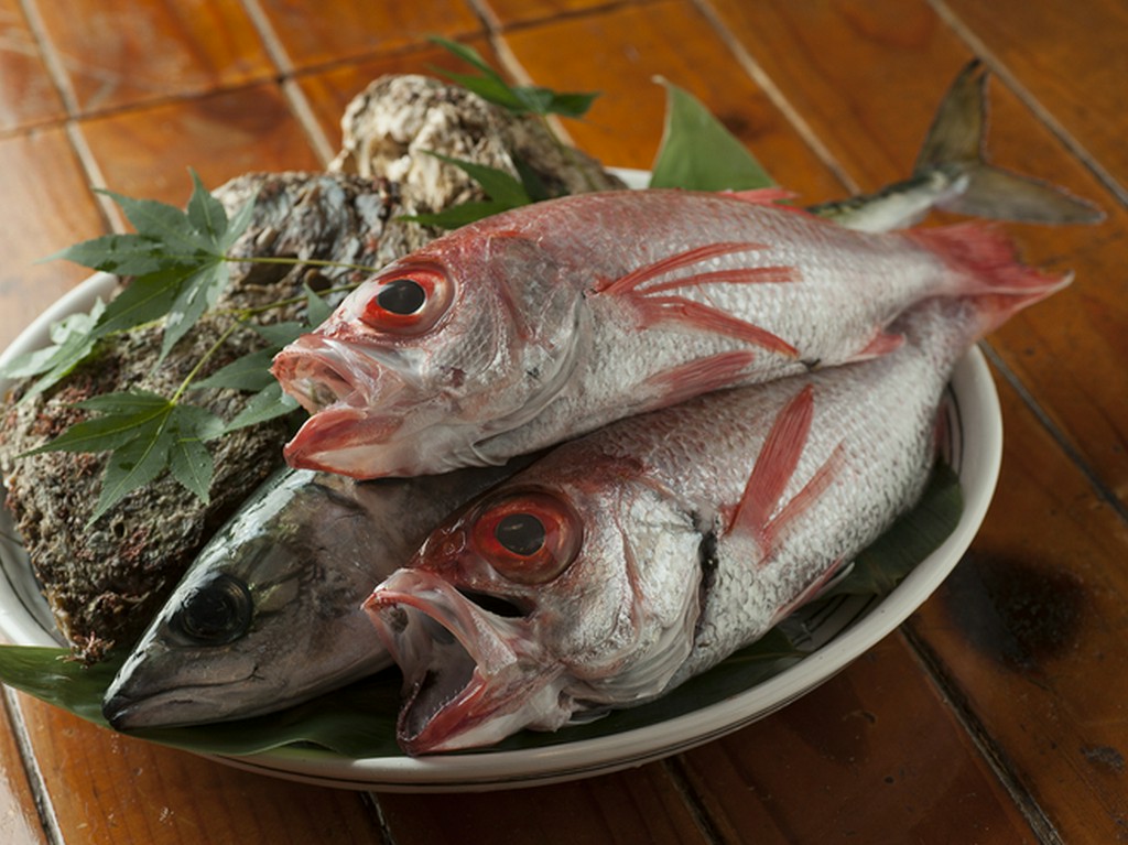 夏の岩牡蠣、冬はブリ大根やズワイガニなど、季節の旬を堪能