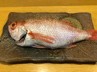 のどぐろ焼きが付いたコースにのどぐろ刺身（3切れ）を追加しているものになります。