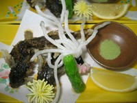 0002106981J4.jpg