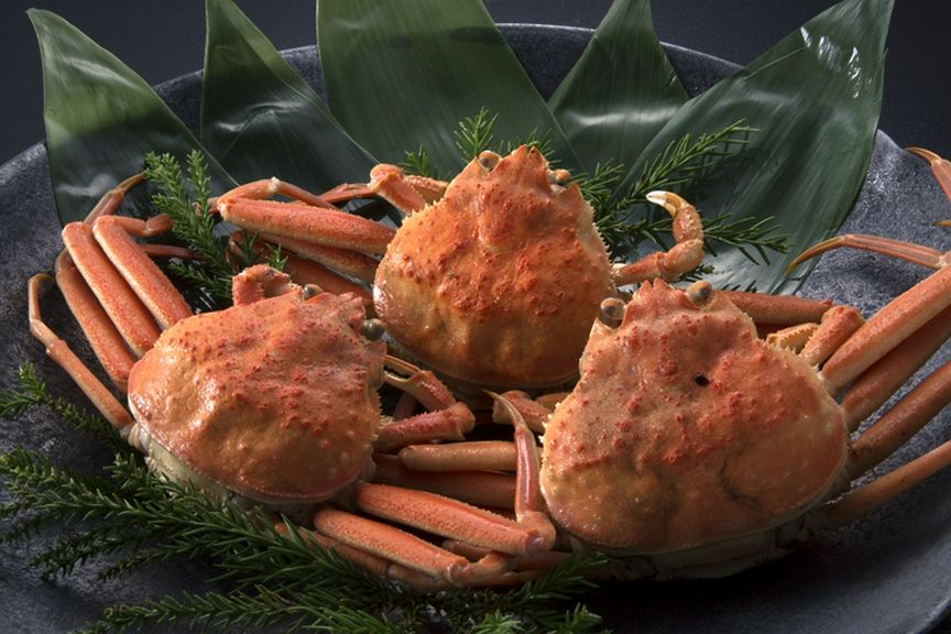 ズワイ蟹・甲箱蟹、治部煮などなど北陸のご当地グルメもご用意