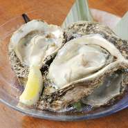 大ぶりの『京都舞鶴産の岩牡蠣』は、クリーミーで濃厚な味わいに身も心も満足の一品。レモンとポン酢で、さっぱりといただきす。※夏限定メニュー