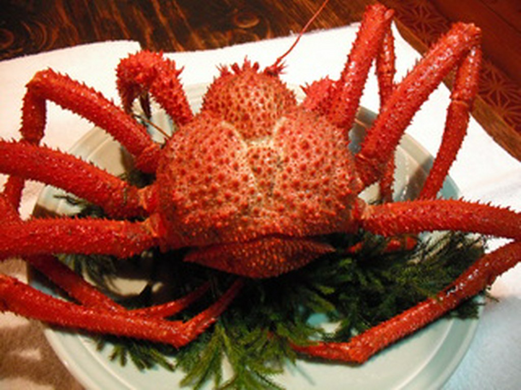 幻の甘～いミルクガニ