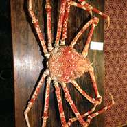 海老もカニも！
贅沢な組み合わせを6800円にてご提供いたしております！