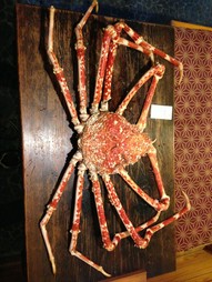 海老もカニも！
贅沢な組み合わせを6800円にてご提供いたしております！