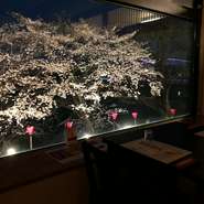 お部屋の大きな窓から桜が一望できます。志太豊で優雅にお花見を。