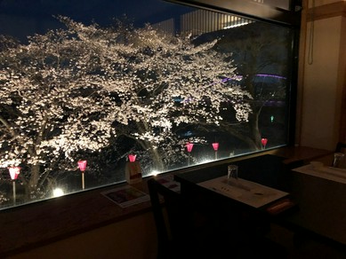 桜満開！パノラマ窓から瀬戸川の桜を見ながらお食事を
