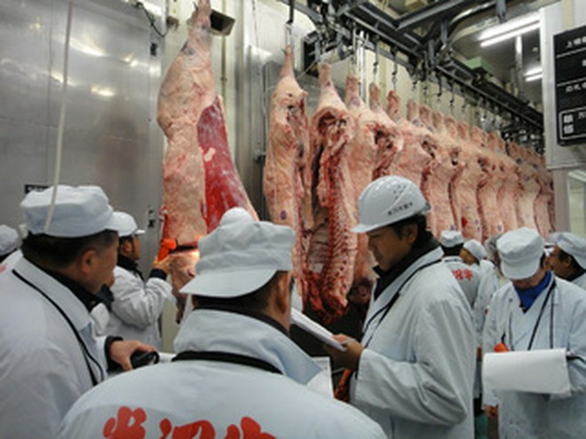 食材にこだわっている