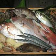 毎日、日替わりで色々な魚介類が入荷します、旬の味覚をお楽しみください。