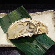当店では殻付き牡蠣の産地にこだわり
季節ごとに北海道仙鳳産、広島県倉橋島産等を
仕入れています