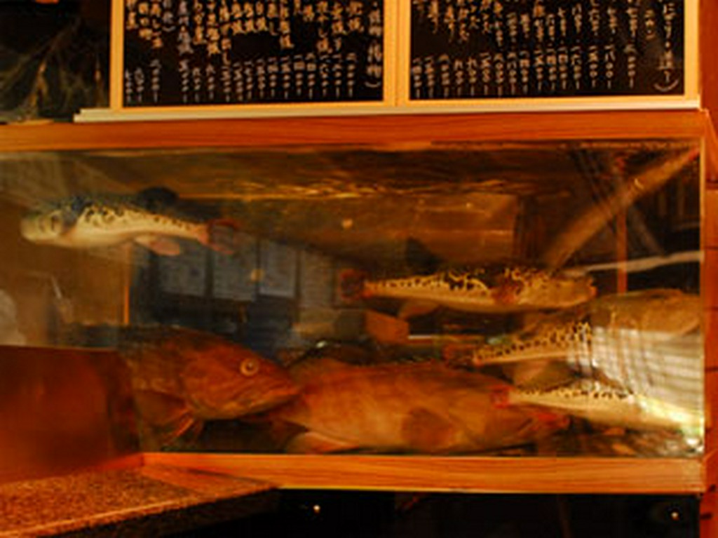 豪華な生け簀をご覧下さい。