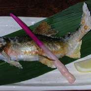 解禁されました!季節の魚をご賞味ください。
