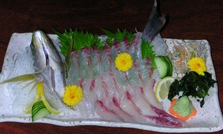 今月のおすすめ料理メニュー