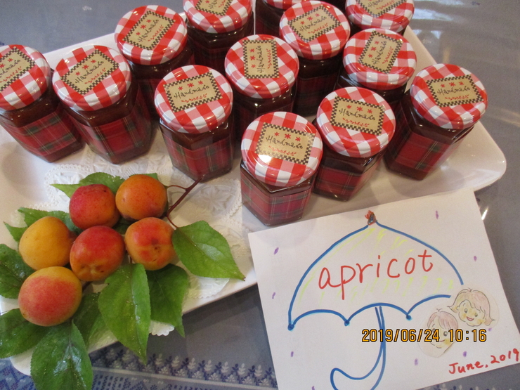 Freshly harvested, freshly made, completely additive-free ~Apricot jam & natural pickled plums~!