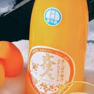 土佐の山北みかんの果汁をふんだんに使ったお酒しぼりたてのフレッシュさが楽しめますアルコール度　7度