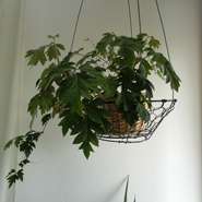 教室のお申込みについて