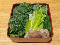 うるい・ちぢみほうれん草・あぶら菜・小葱・椎茸