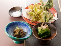 地元の山の幸をいろいろな料理で楽しむ『山菜料理』