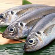 築地からの仕入れだけでなく、自ら釣り上げた鮮魚でもてなします